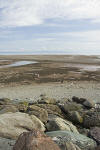 Alma Bay of Fundy rocks