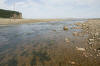 Alma Bay of Fundy tide running out