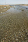 Alma Bay of Fundy tide running out