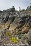 Amphitrite Point Lighthouse