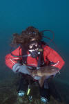 blind shark and diver photograph