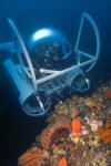 Ocean Pearl Submarine picture